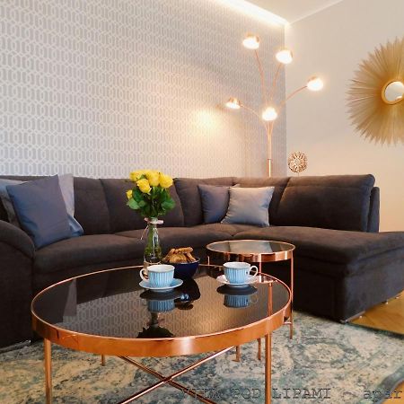 Vila Pod Lipami Apartment Bruntal Luaran gambar
