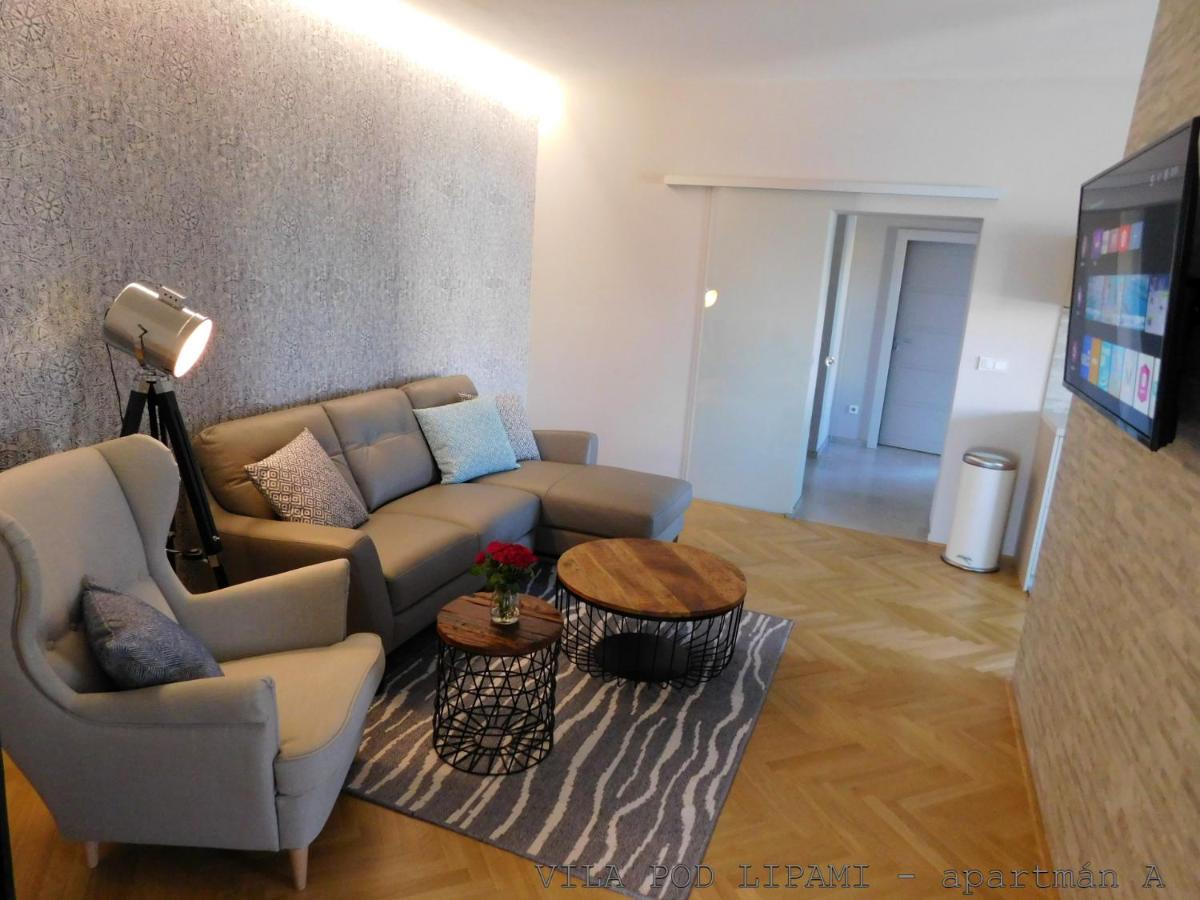 Vila Pod Lipami Apartment Bruntal Luaran gambar