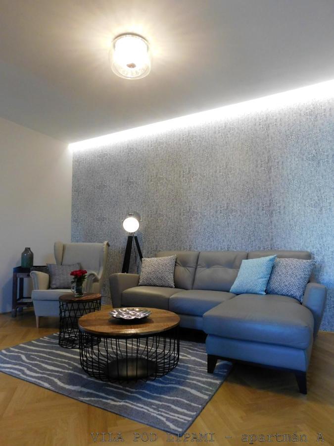 Vila Pod Lipami Apartment Bruntal Luaran gambar